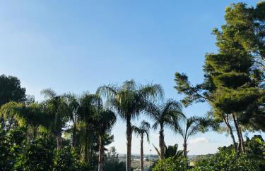 Villa Rosemary - Photo 50