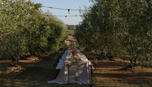 Villa Cozzano - Foto 3, Garden