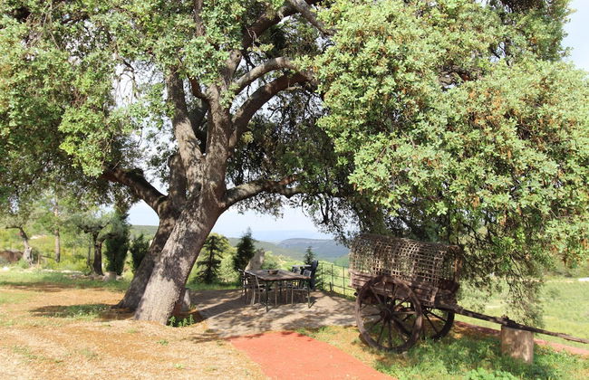 Masia Heredad La Boquilla - Foto 48