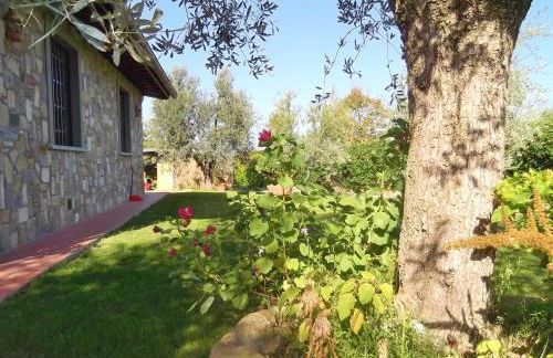 Podere La Casuccia - Foto 6