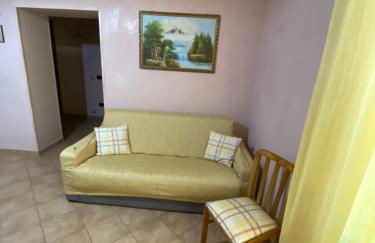 L'albero di limoni sul mare di Pizzo - Photo 34