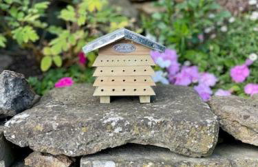 Fairytale Cottage in the Country - Foto 36