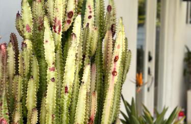 Resort Getaway in Private Garden Terrace Villa w Luxury Amenities - Foto 8