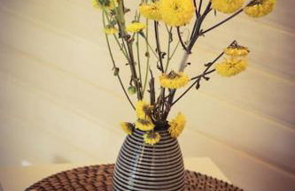 Tiny House Kotten Kunterbunt - Foto 16