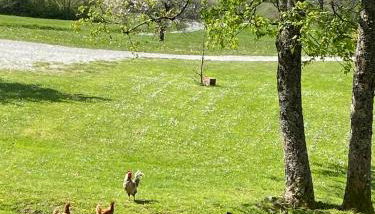 Agriturismo Il Passeggere - Foto 2