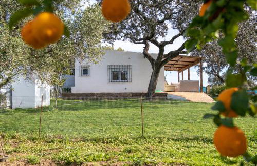 La Platea Rural - Foto 21