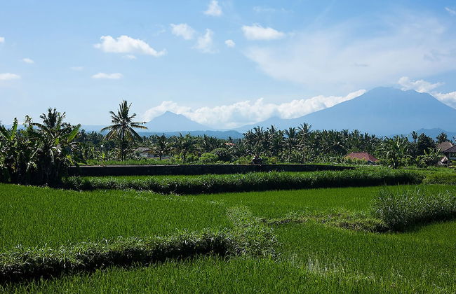 Villa Puri Nirwana - Foto 52