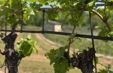 Agriturismo Pietra Sorgente - Photo 18