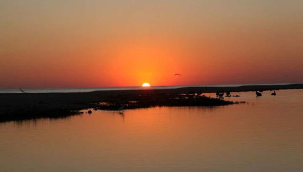 Night Tour of the Manialtepec Lagoon - Foto 4