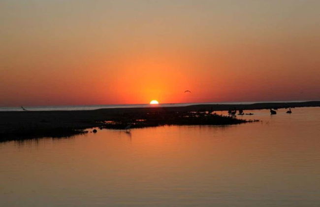 Night Tour of the Manialtepec Lagoon - Photo 7