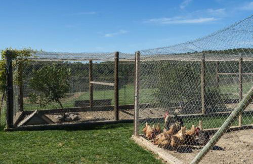 Mas El Brugué - Foto 48