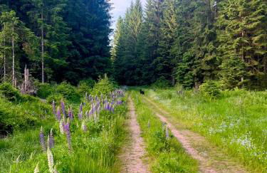 Ferienhaus Robin - Foto 67