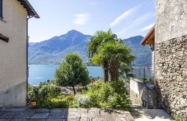 Laura (DMA320) - Foto 2