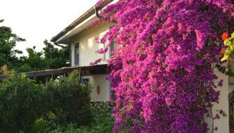 Villa Collebelvedere - Near Rome with Home Restaurant - Foto 4
