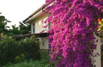 Villa Collebelvedere - Near Rome with Home Restaurant - Foto 4