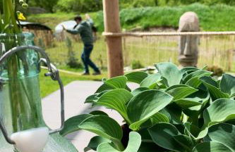 Holiday Home Tolles Ferienhaus in Bolanden mit Großer Terrasse by Interhome - Foto 27