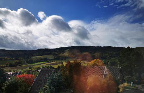 Ferienhaus in der Rhön Sitzmann - Foto 13