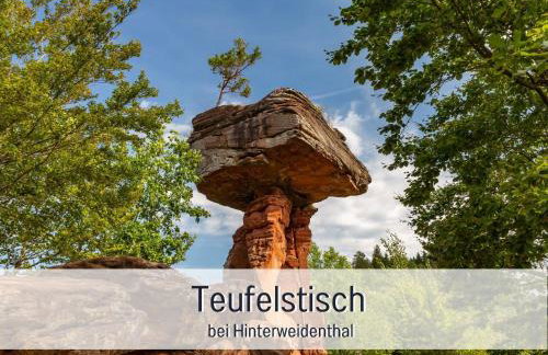WINETIME - Apartment Roschbach - für bis zu 5 Personen - idyllisch an den Weinbergen der südlichen Weinstraße zwischen Landau und Neustadt gelegen - Photo 49
