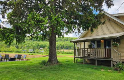 The Yellow House - Foto 29