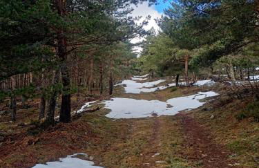 Montes de Lillo --Vut LE 625 - Foto 18