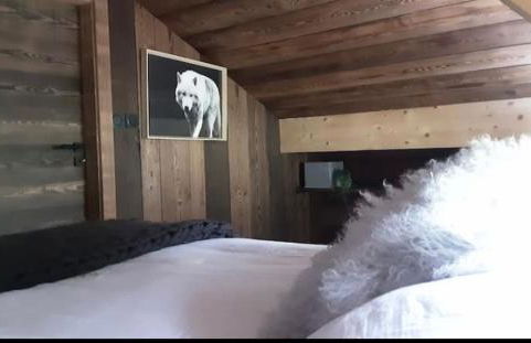 Chalet avec jacuzzi - 150 m des remontées - Foto 24