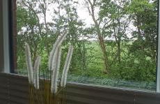 Apartmenthaus Westerkoog - Foto 15