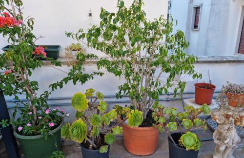 Green Palace - Foto 20