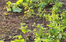 La maison colorée - Foto 3