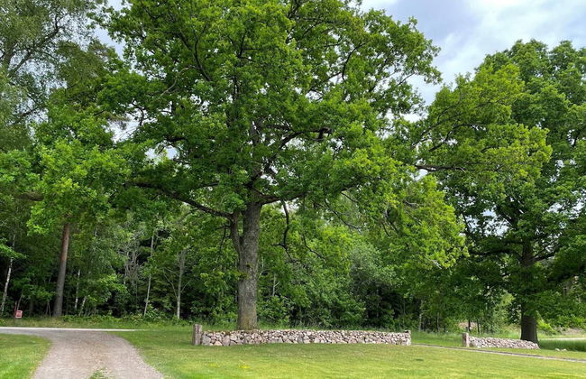 6 Person Holiday Home in Gotene-by Traum - Photo 22