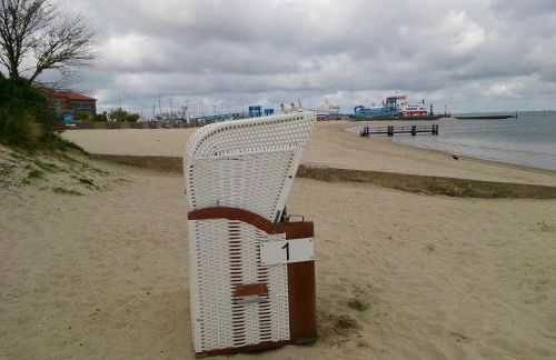 Midlum Zaunkönig - Foto 27