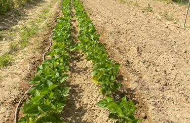 La Manaude - Photo 44