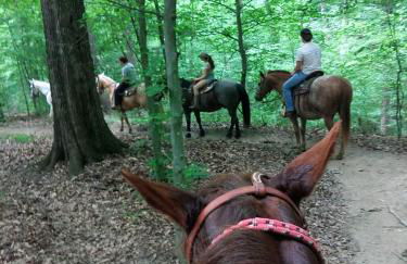 Blue Moon Log Cabin - Foto 21