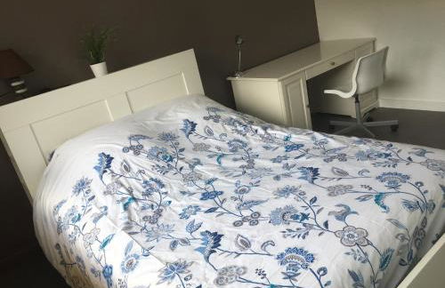 BedinReims elegant green bottle quiet and close to center free parking and wifi free ideal 5 à 9 Adultes - Foto 42