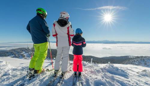 L'Atelier du Peintre - Foto 2