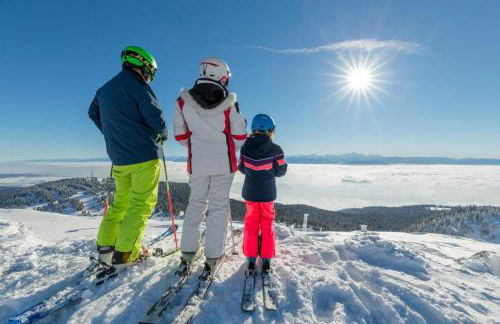 Studio GIMAZANE - Foto 13