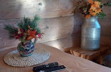 Chatka Ustrzyki - Foto 10