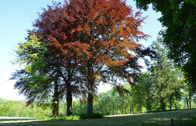 Castle in Roumont With Garden - Foto 23