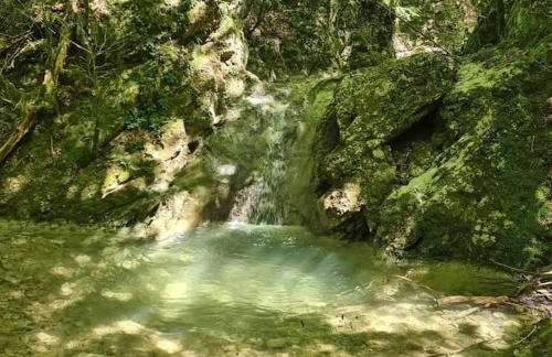 Precioso apartamento en el Pirineo Catalán - Foto 4