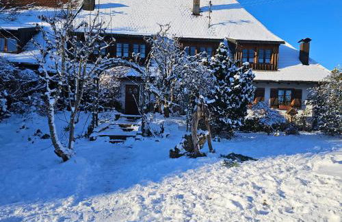 Schweizerblick - Denkmalgeschützes Haus in ruhiger Lage - großer Garten und mit Charme eingerichtet - ideal für Familien, Paare & Hund - Foto 51