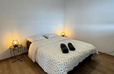 Magnifique appartement à la frontière suisse - Foto 9
