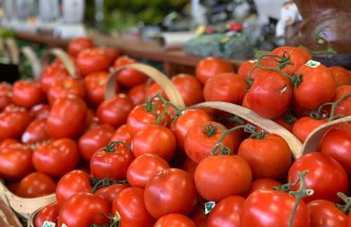 North Fork House for Rent - Photo 61