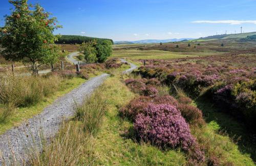 3 Bed in Denbigh oc-93994 - Foto 57