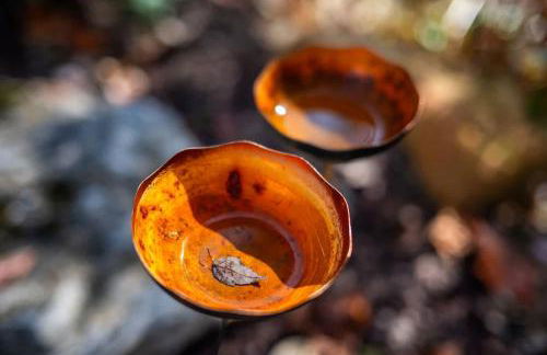 Full Bloom Tree House - Foto 66