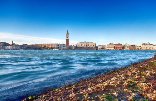 Ca' Viridi - Foto 39