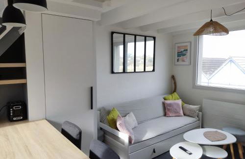 Maison VUE MER 50m PLAGE de TRESTEL GR34 entre Perros Guirec côte de granit rose et l'île de Bréhat - Foto 11