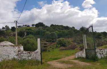 Monte Das Ferrarias - Foto 30