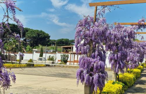 Villa de Gracia Casa 3 - Photo 19