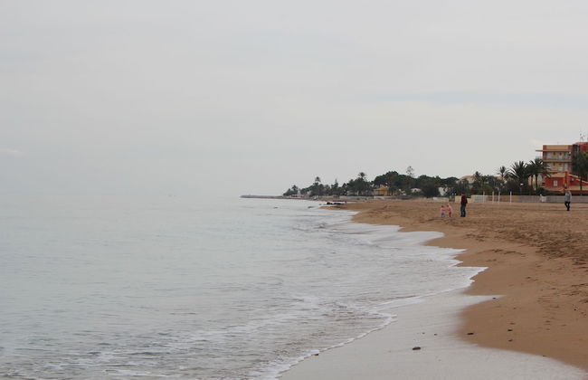 Trompeta Azul - Photo 67