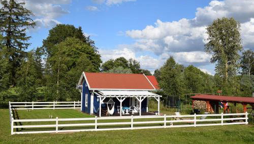 Błękit Żuław - Foto 2