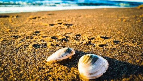 Bałtyk 44 na Wydmach - Foto 3